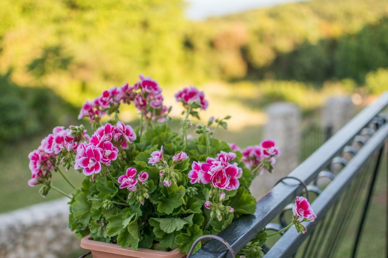 Apartman House Bruno Drenje (Istria)